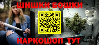 прущие грибы Кингисепп