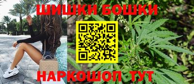 прущие грибы Кингисепп